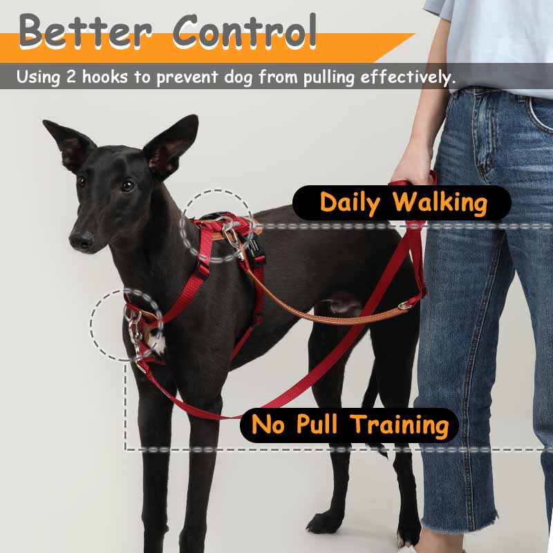 Mysudui-Correa de entrenamient - Leather Strap Quick Release reseña y precio